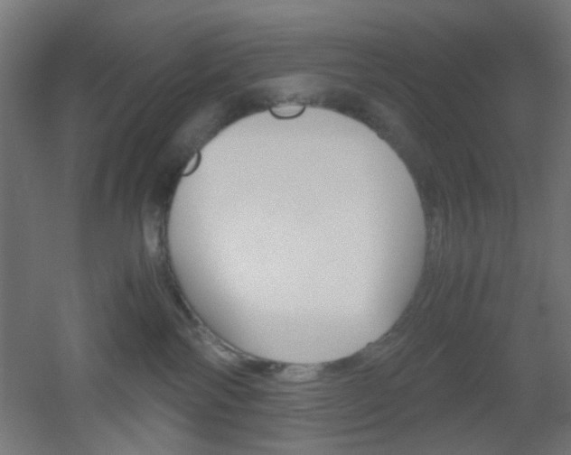 X0000051910138200506241113