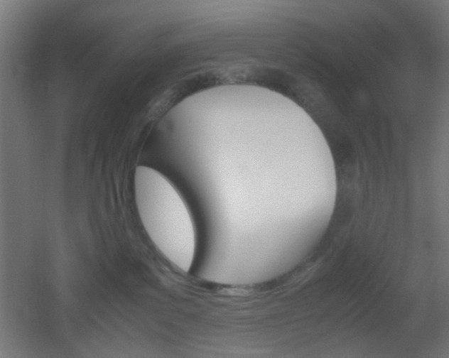 X0000051910139200506241113