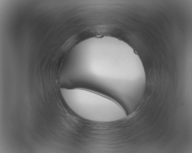 X0000051910140200506241113