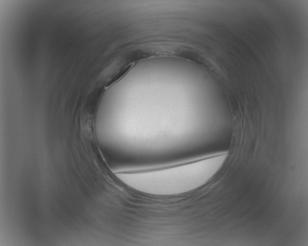 X0000051910141200506241113