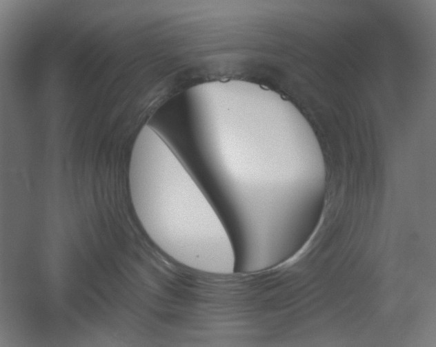 X0000051910144200506241113