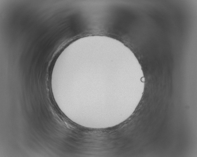 X0000051910146200506241112