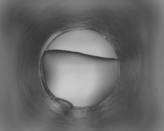 X0000051910147200506241112