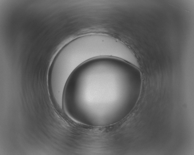 X0000051910148200506241112