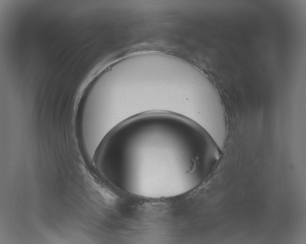 X0000051910150200506241112
