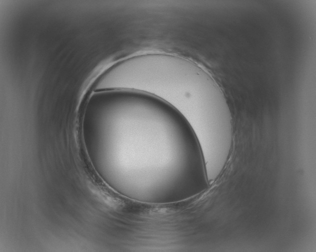 X0000051910152200506241112