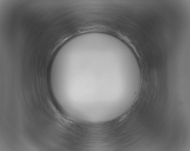 X0000051910154200506241112