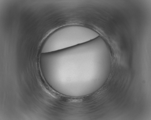 X0000051910155200506241112