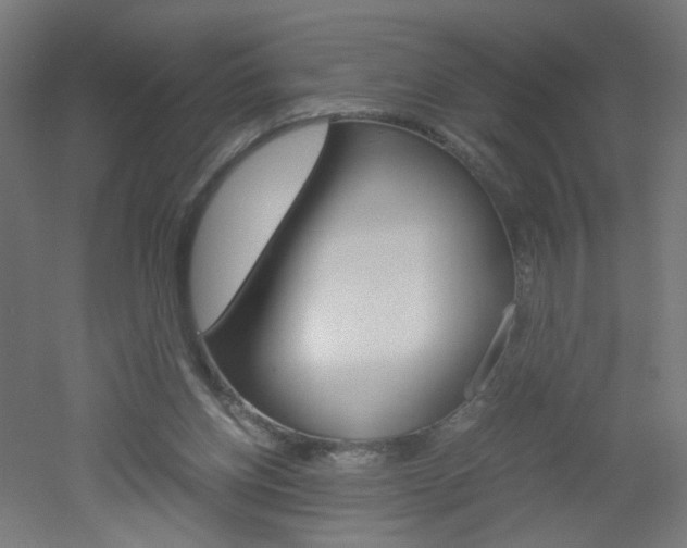 X0000051910158200506241112
