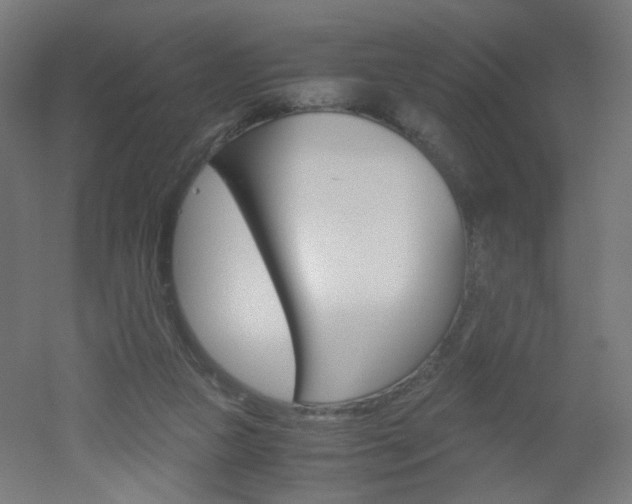 X0000051910161200506241112