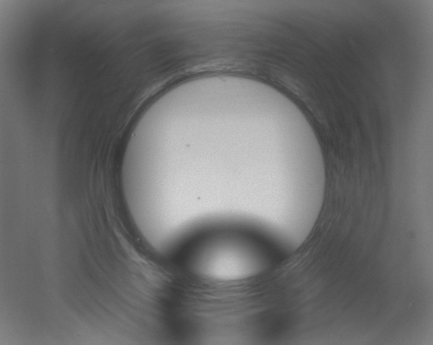 X0000051910164200506241112