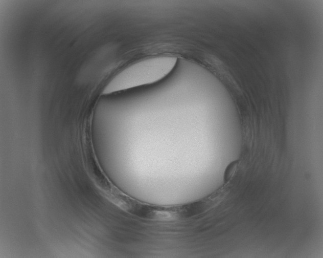 X0000051910167200506241112