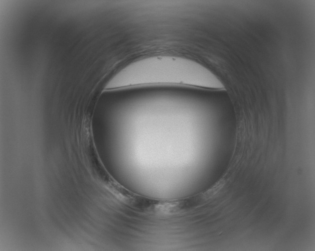 X0000051910172200506241112