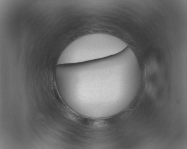 X0000051910173200506241112