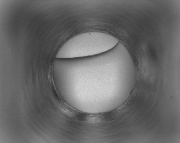 X0000051910175200506241112