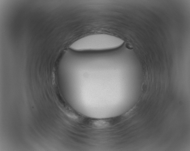X0000051910183200506241113