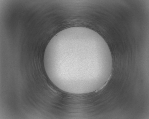 X0000051910186200506241113