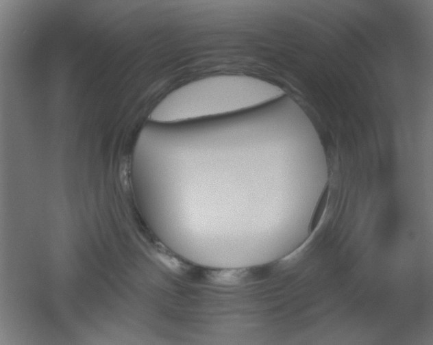 X0000051910191200506241113