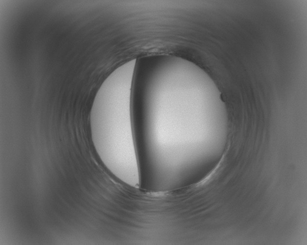 X0000051910192200506241113