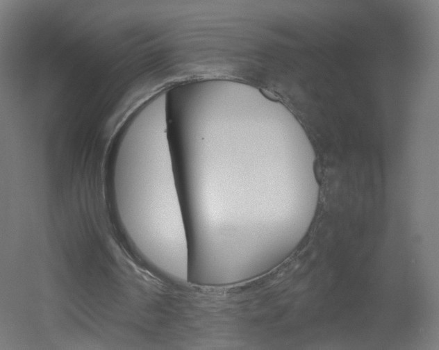 X0000051910194200506241112