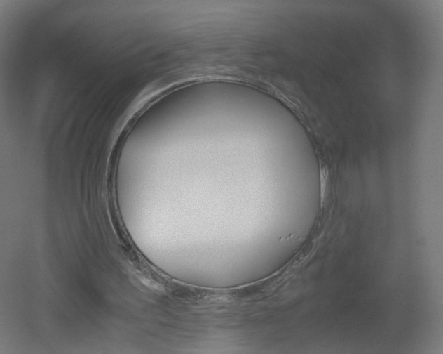 X0000051910195200506241112