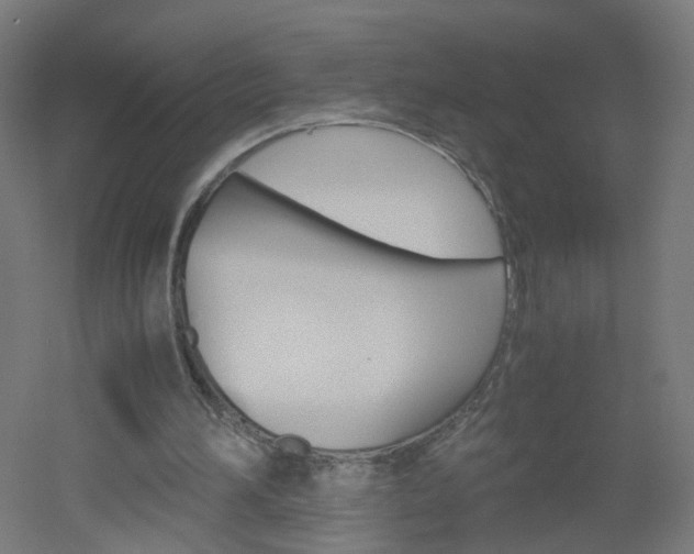 X0000051910196200506241112