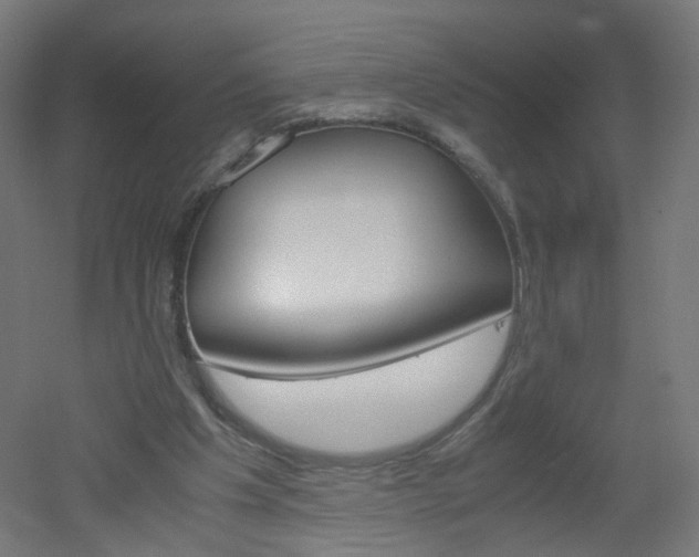 X0000051910201200506241112