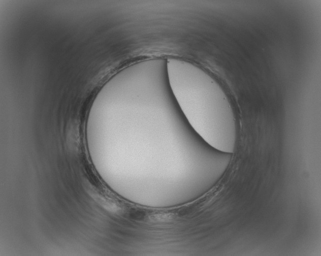 X0000051910202200506241112