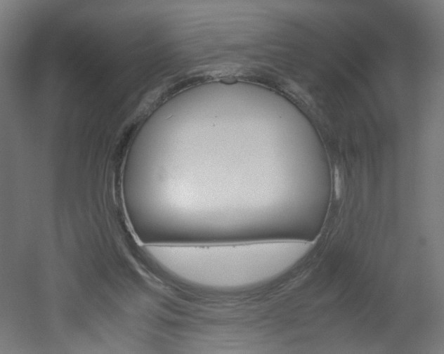 X0000051910205200506241112