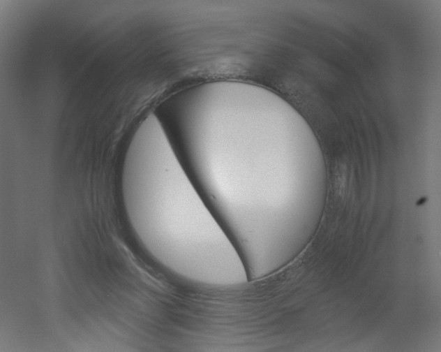 X0000051910206200506241112