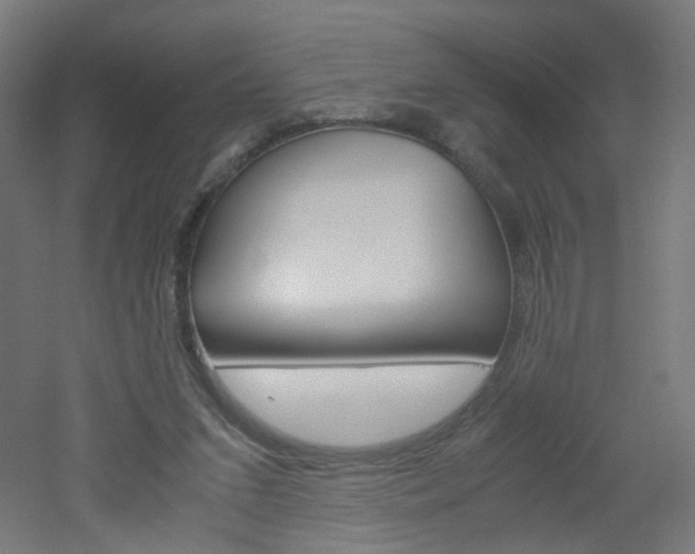 X0000051910207200506241112