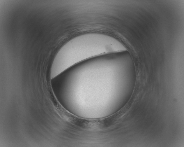 X0000051910209200506241112