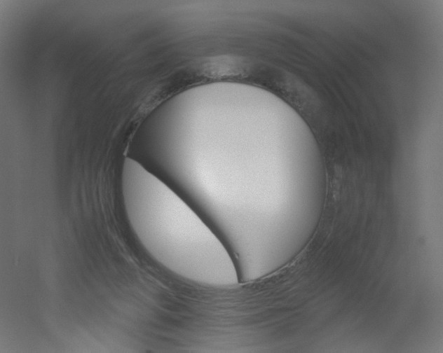 X0000051910210200506241112