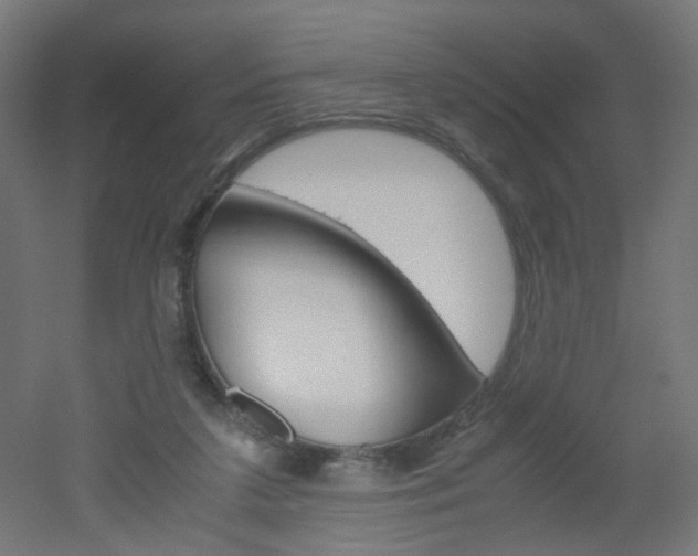 X0000051910211200506241112