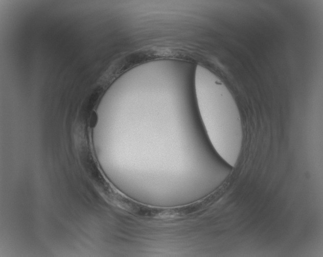 X0000051910213200506241112