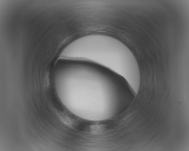 X0000051910216200506241111