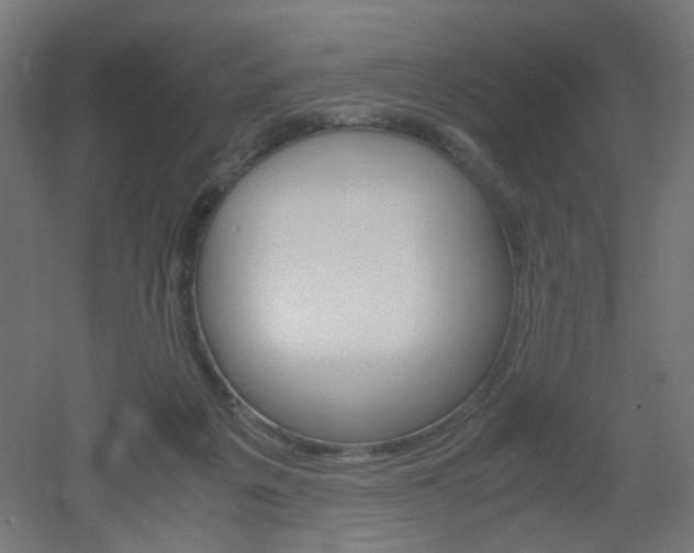 X0000051910217200506241111