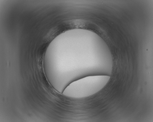X0000051910218200506241111
