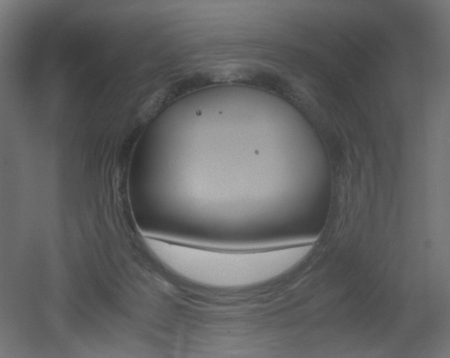 X0000051910219200506241111