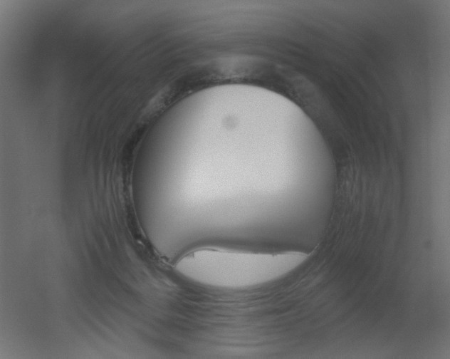 X0000051910220200506241111