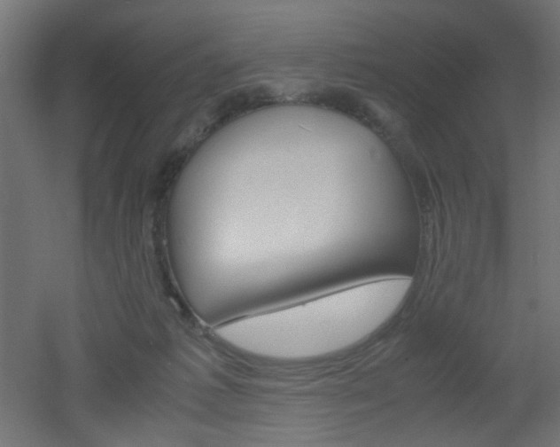X0000051910221200506241111