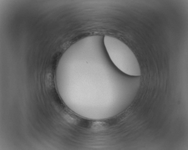 X0000051910222200506241111