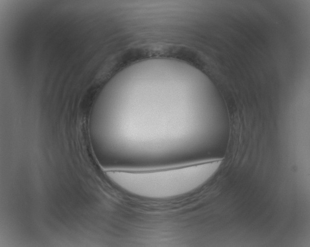 X0000051910225200506241111