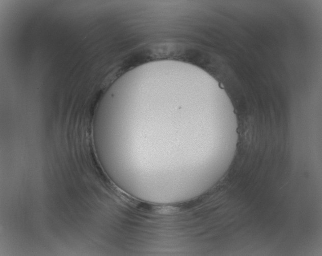X0000051910226200506241111