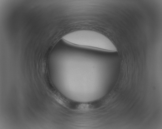 X0000051910227200506241111