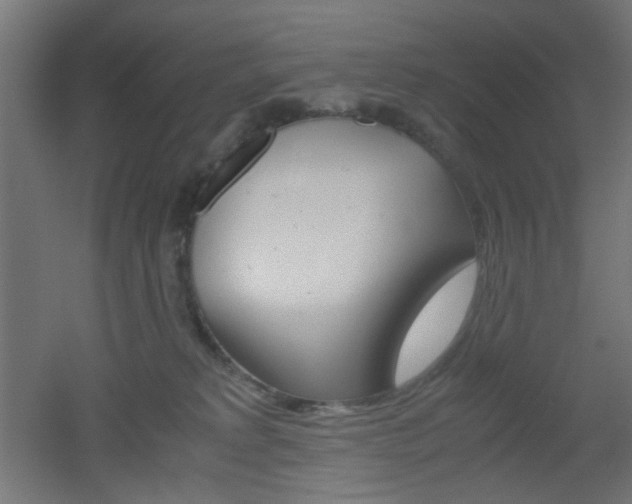 X0000051910229200506241111