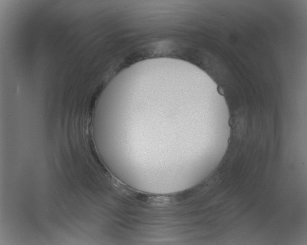 X0000051910230200506241111