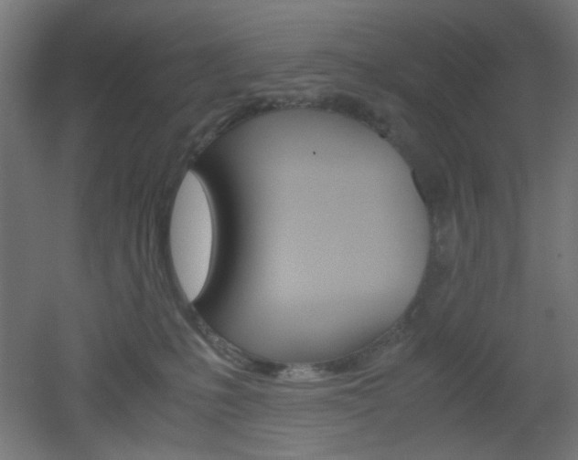 X0000051910231200506241111
