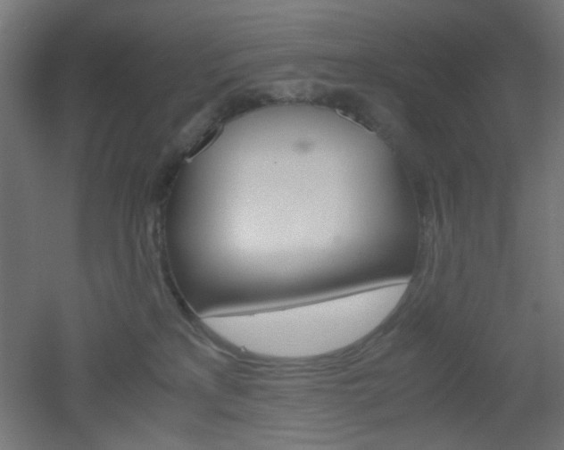X0000051910233200506241111