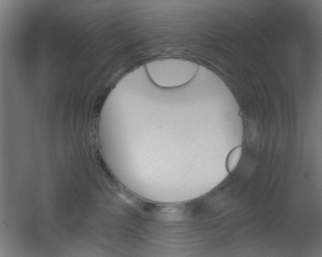 X0000051910236200506241111